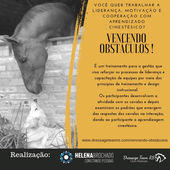 vencendo obstáculos.jpg